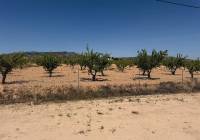 Resale - Villa - Pinoso