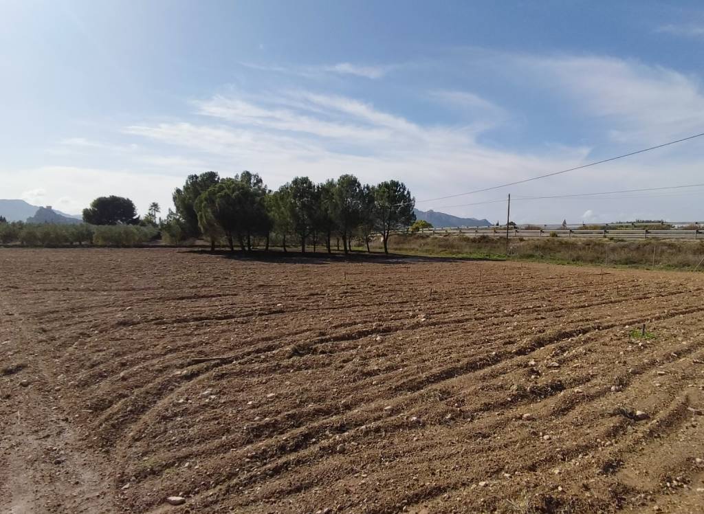 Resale - Villa - Sax - Rural location