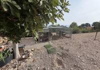 Resale - Villa - Sax