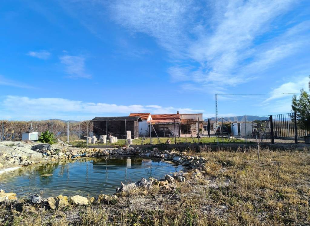 Resale - Villa - Villena - Rural location