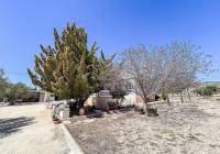 Resale - Villa - Yecla