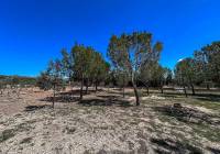 Resale - Villa - Yecla