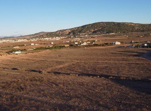 Terreno - Nueva construcción  - Pinoso - Pinoso