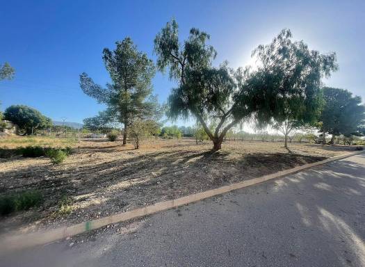 Terreno - Nueva construcción  - Ubeda - Ubeda