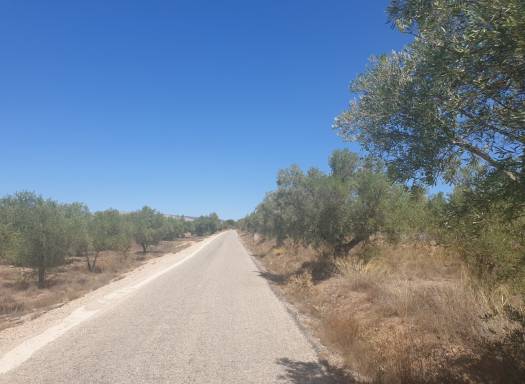 Terreno - Venta - Biar - Rural location