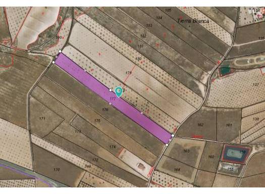 Terreno - Venta - Jumilla - Rural location