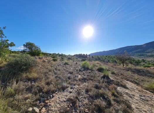 Terreno - Venta - La Romana - La Romana