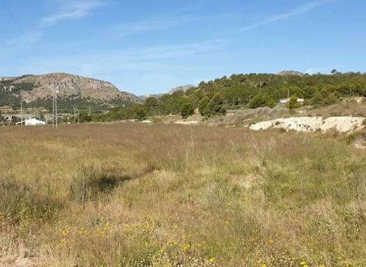 Terreno - Venta - La Romana - La Romana