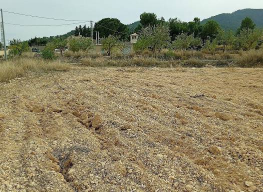 Terreno - Venta - Monovar - Monovar