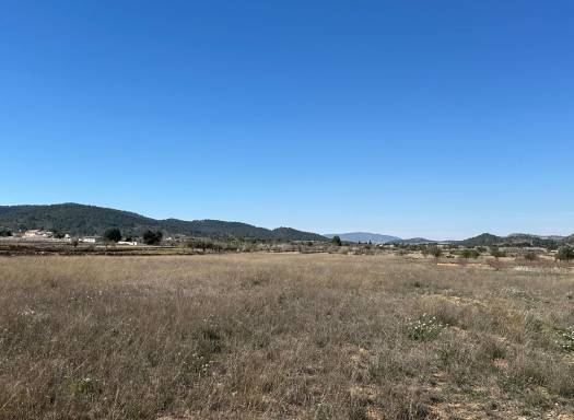 Terreno - Venta - Monovar - Monovar