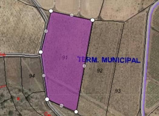 Terreno - Venta - Monóvar/Monóver - 51215