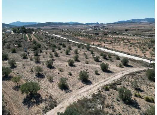 Terreno - Venta - Pinoso - Pinoso