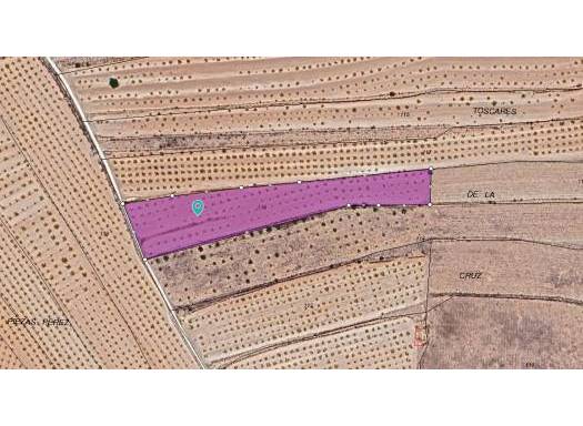 Terreno - Venta - Pinoso - Pinoso