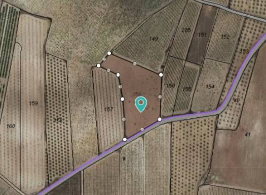 Terreno - Venta - Pinoso - Rural location