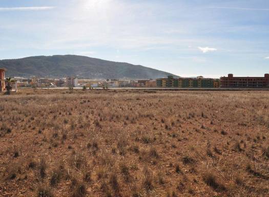 Terreno - Venta - Pinoso - Rural location