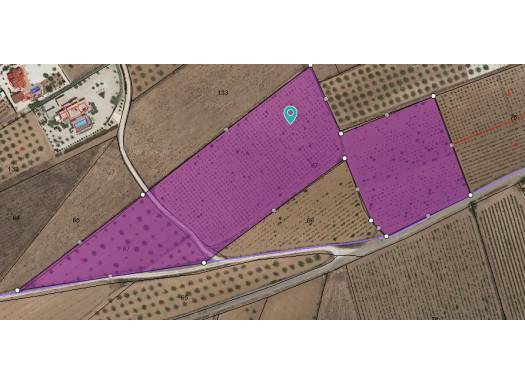 Terreno - Venta - Pinoso - Rural location