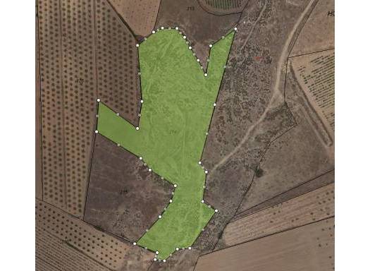 Terreno - Venta - Pinoso - Rural location