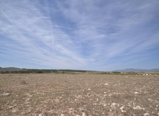 Terreno - Venta - Pinoso - Rural location