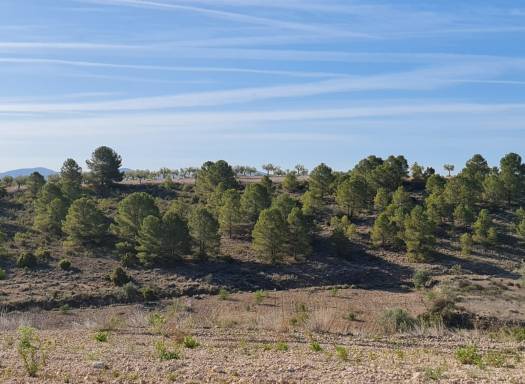 Terreno - Venta - Raspay - Rural location