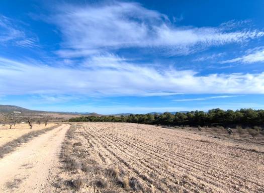 Terreno - Venta - Raspay - Rural location