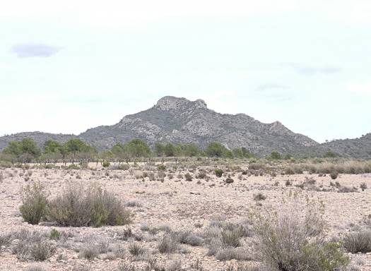 Terreno - Venta - Salinas - Rural location