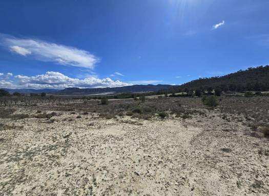 Terreno - Venta - Salinas - Salinas