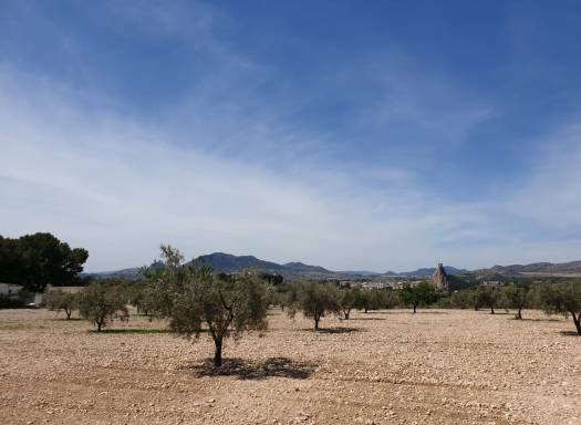 Terreno - Venta - Sax - Rural location