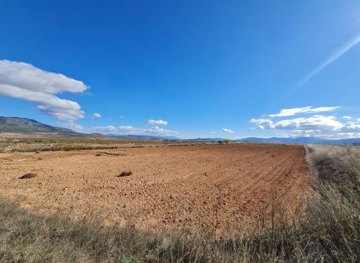 Terreno - Venta - Yecla - Rural location