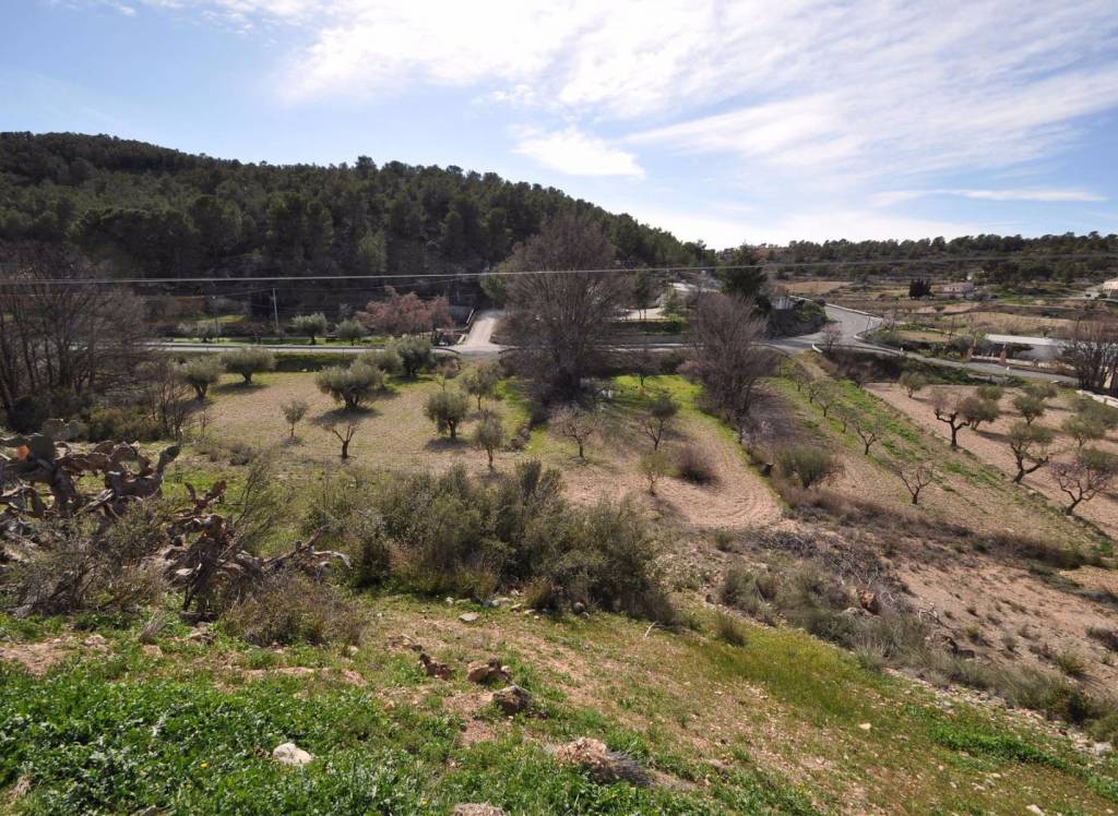 Venta - Casa Cueva - La Zarza - Rural location