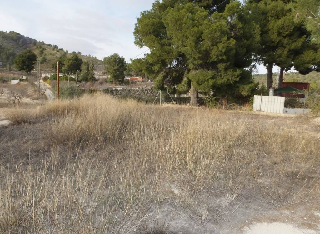 Venta - Casa Cueva - Pinoso