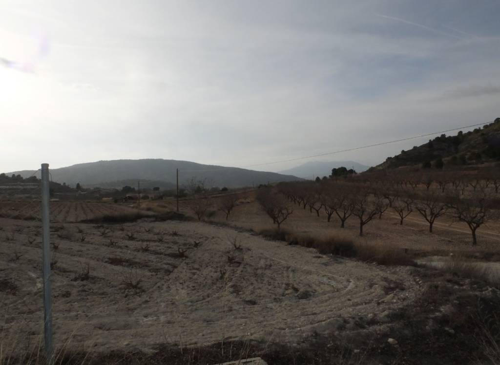 Venta - Casa Cueva - Pinoso