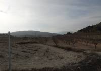 Venta - Casa Cueva - Pinoso