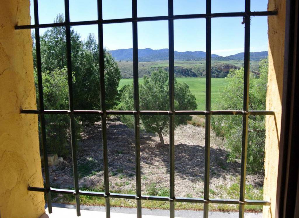 Venta - Casa de Campo - Jumilla - Rural location