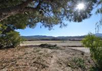 Venta - Casa de Campo - Jumilla - Rural location