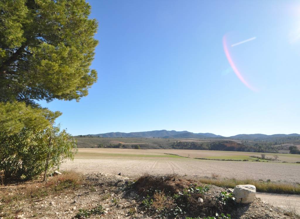 Venta - Casa de Campo - Jumilla - Rural location