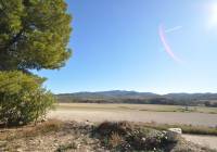 Venta - Casa de Campo - Jumilla - Rural location
