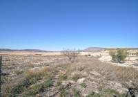 Venta - Casa de Campo - Jumilla - Rural location