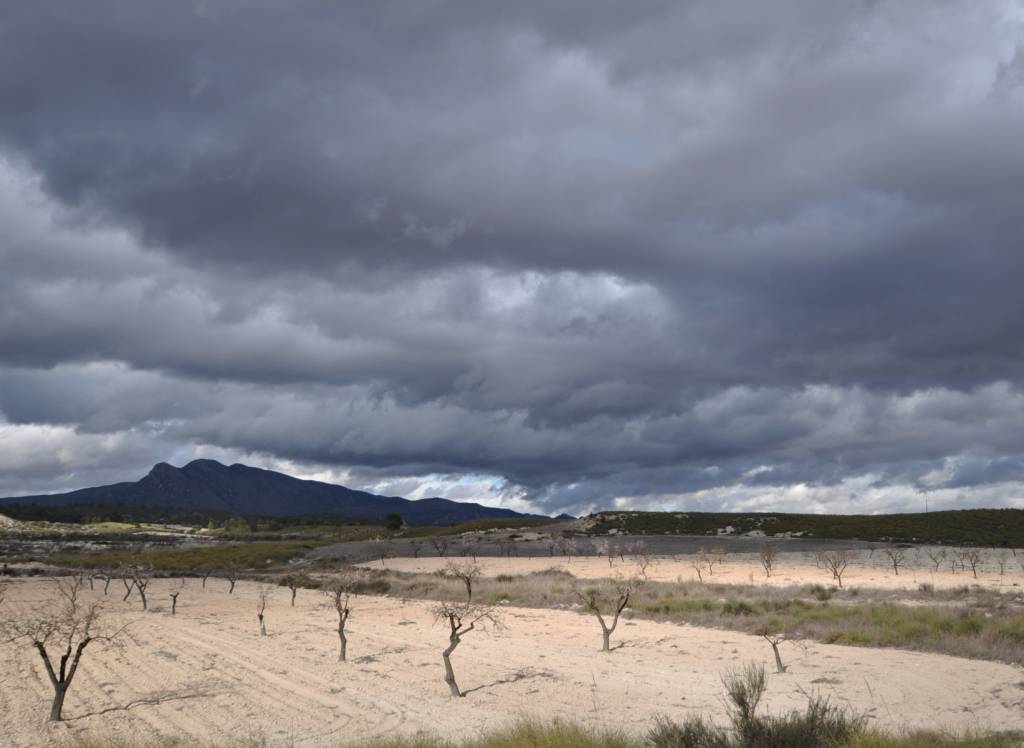 Venta - Casa de Campo - Jumilla - Rural location