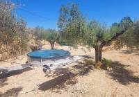 Venta - Casa de Campo - La Romana