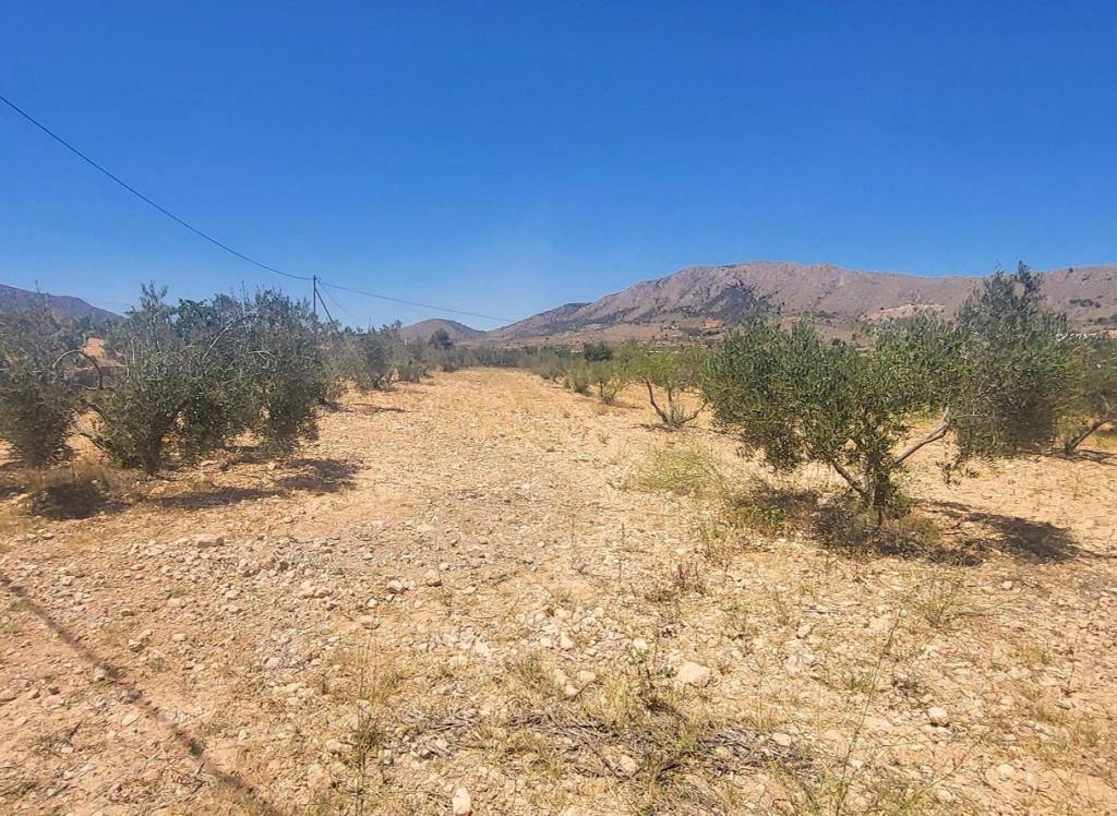 Venta - Casa de Campo - La Romana