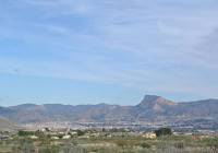 Venta - Casa de Campo - Monovar - In hamlet