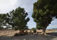 Venta - Casa de Campo - Monovar - In hamlet