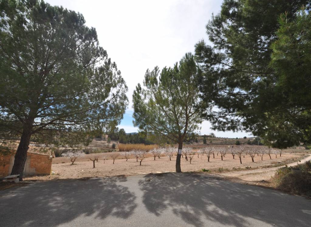 Venta - Casa de Campo - Monovar - In hamlet