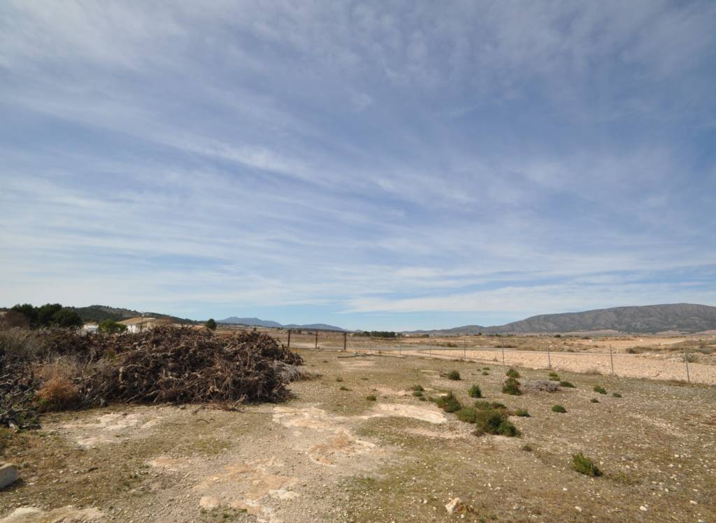 Venta - Casa de Campo - Monovar - In hamlet