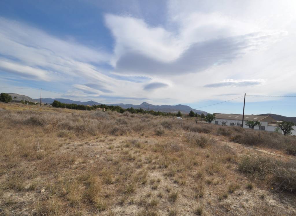 Venta - Casa de Campo - Monóvar/Monóver - Rural location