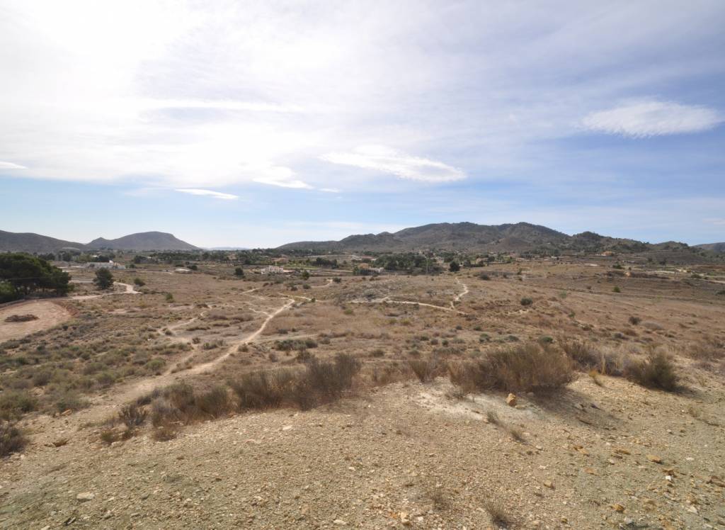 Venta - Casa de Campo - Monóvar/Monóver - Rural location