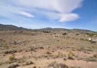 Venta - Casa de Campo - Monóvar/Monóver - Rural location