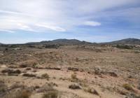 Venta - Casa de Campo - Monóvar/Monóver - Rural location