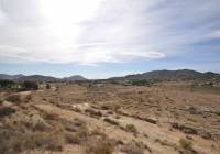 Venta - Casa de Campo - Monóvar/Monóver - Rural location