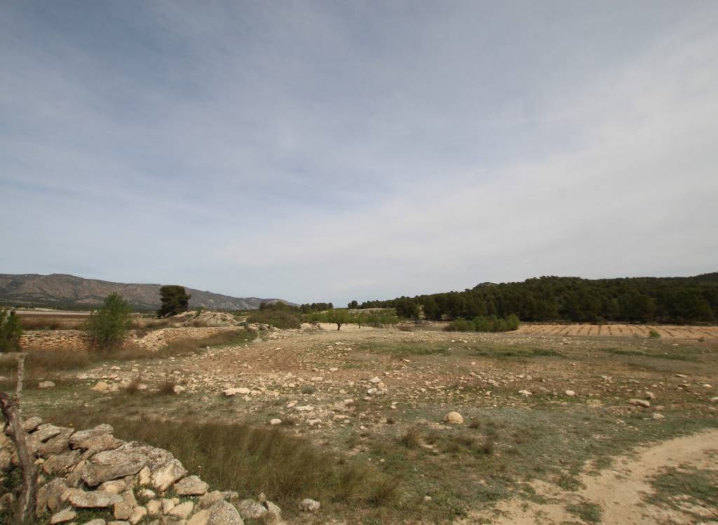 Venta - Casa de Campo - Monóvar/Monóver - Rural location